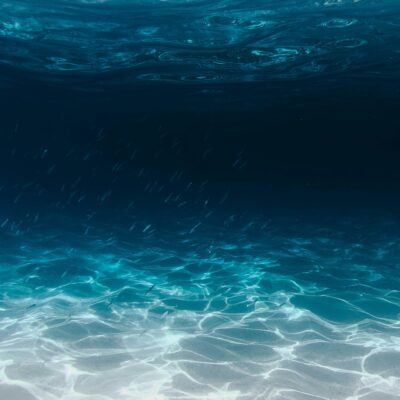 Blue Spectrum (6)